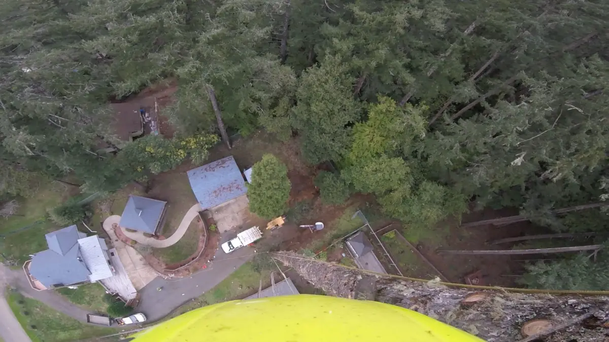 View from a True Tree climber's helmet camera high above a property
